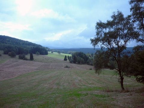 Foto 40